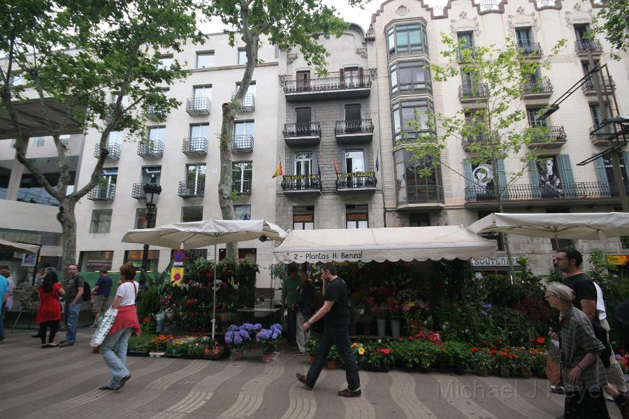 IMG_5047.JPG - One of many florist on Las Ramblas