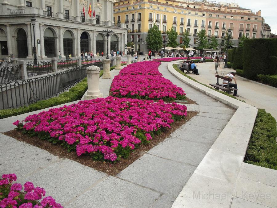 DSC01509.JPG - Flower Beds near Palacio