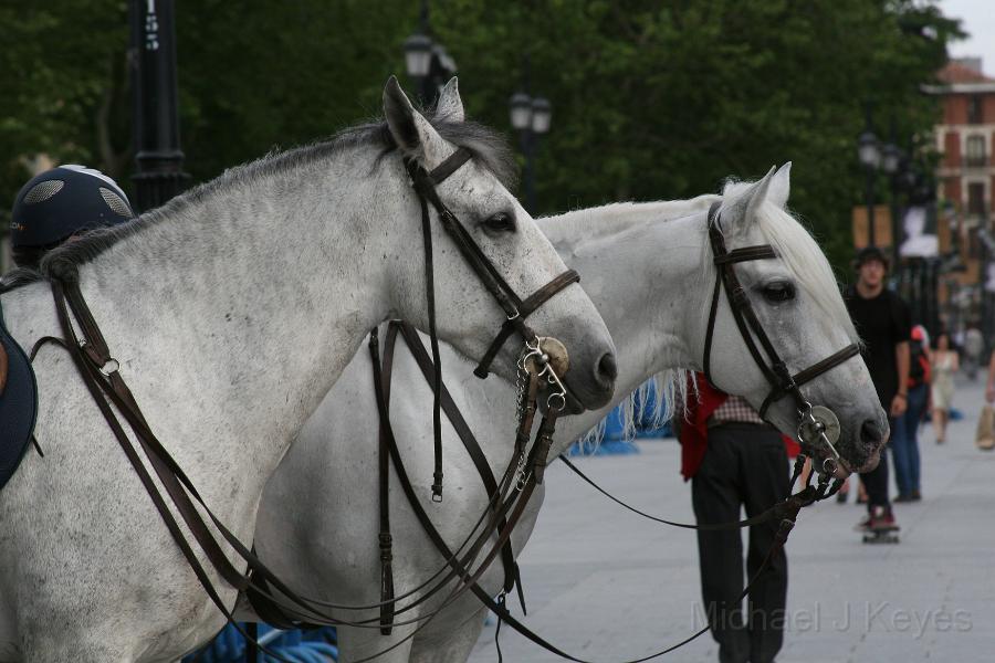 IMG_6888.JPG - El Senior, Mr. Ed & his twin Brother