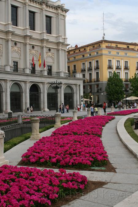 IMG_6895.JPG - Flower Beds