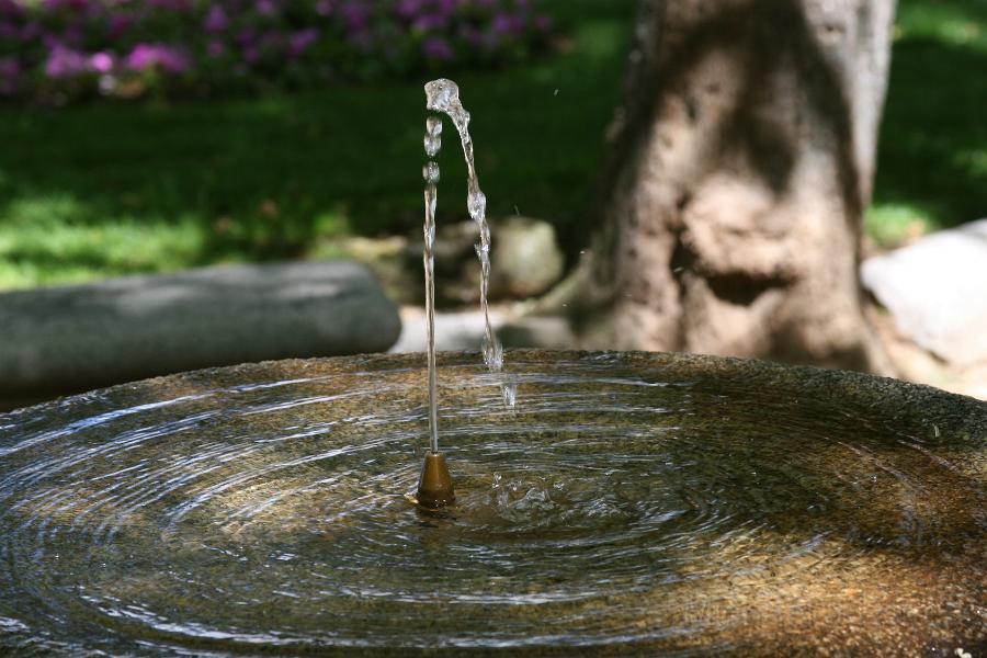 IMG_7343.JPG - Water fountain in segovia