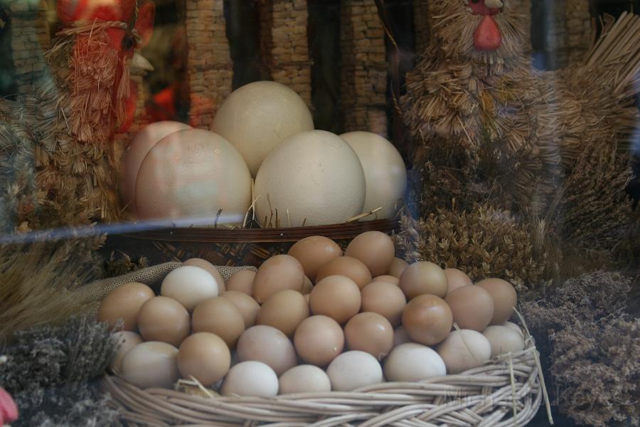 IMG_7451.JPG - Standard variety Eggs