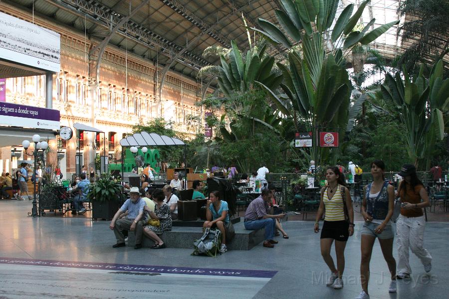 IMG_7570.JPG - Madrid, Atocha,  train station, on the way to toledo. Indoor rainforest.