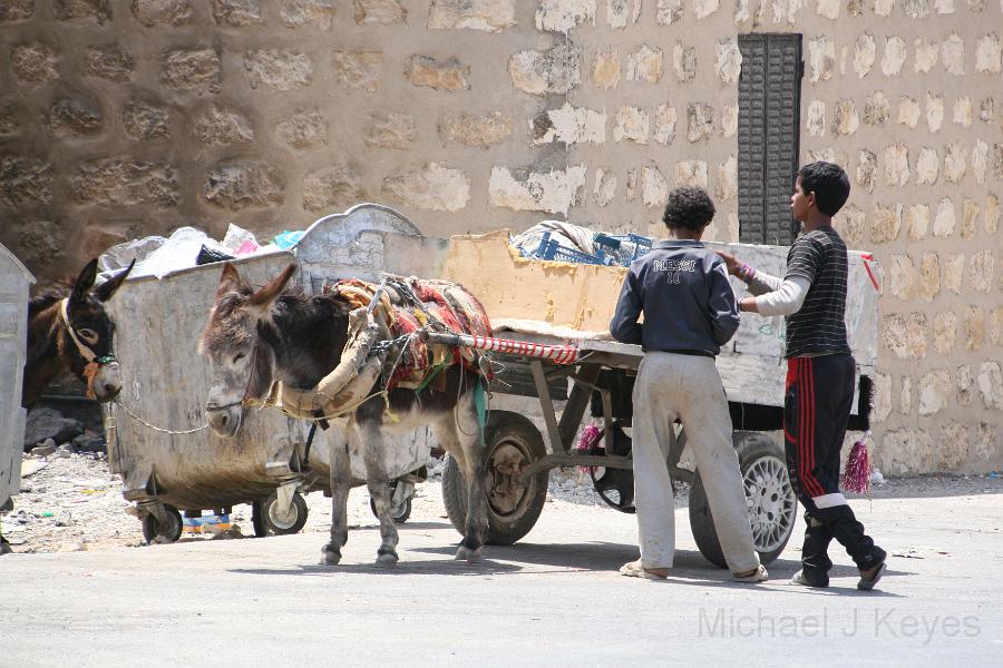 IMG_7465.JPG - Getting ready for the Trip to Jerash, Hitching up The Wagon