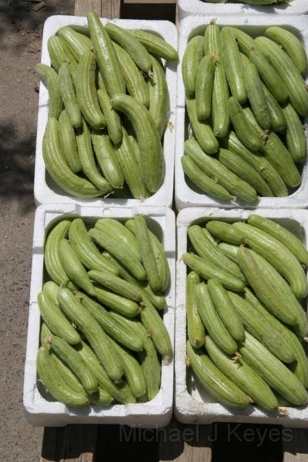 IMG_6581.JPG - Faguz (tiny cucumbers)