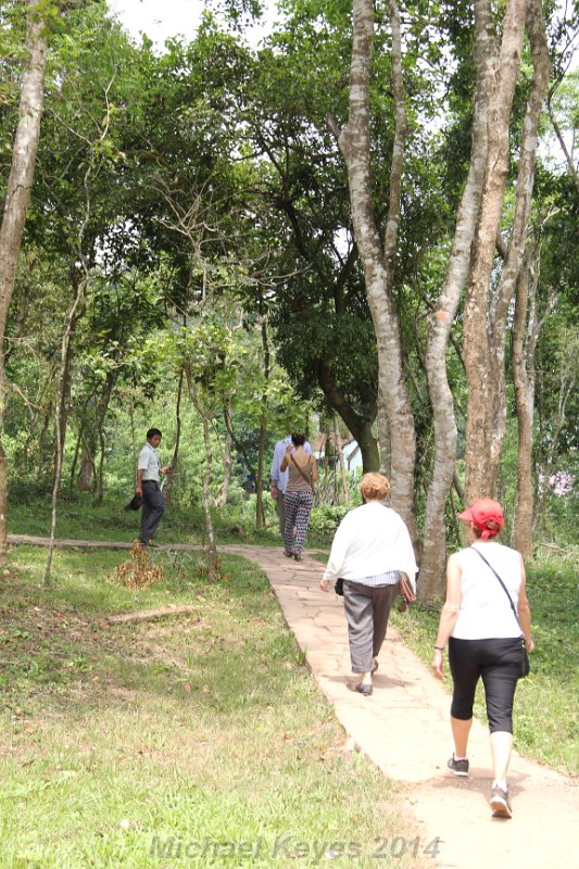 IMG_0272.JPG - Walking back from the temples