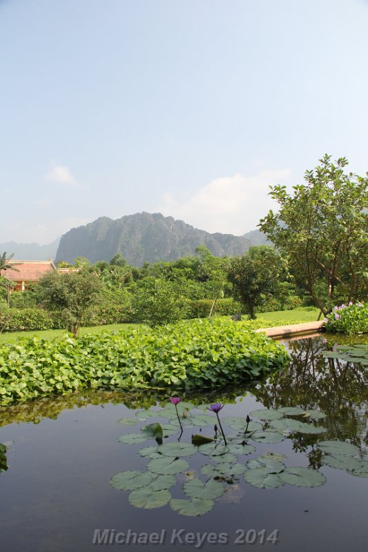 IMG_9765.JPG - Mountains and Lillies