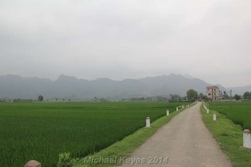 IMG_9676.JPG - Rice on the Right, Rice on the left