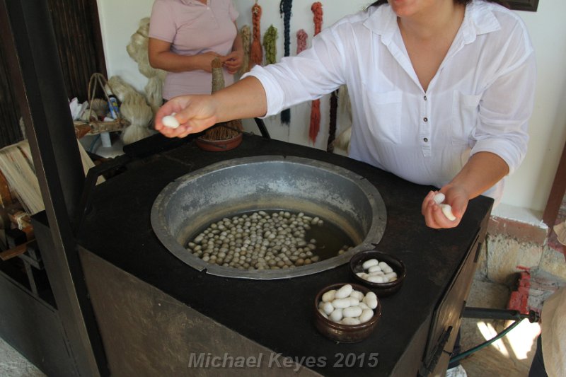 IMG_5420.JPG - Silk Demonstration